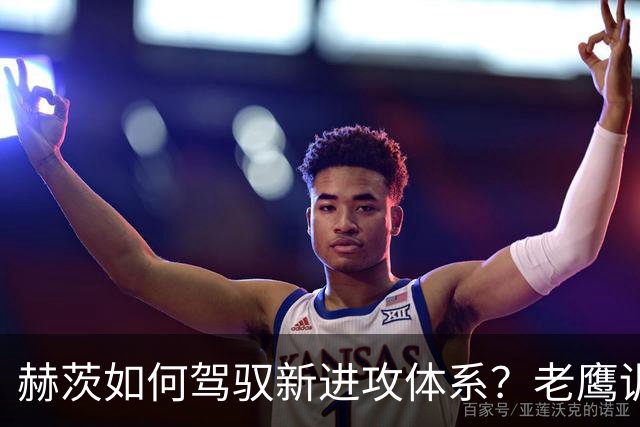 赫茨如何驾驭新进攻体系？老鹰训练营最大疑问浮现